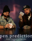 Open Prediction by Peter Turner