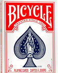 Bicycle Big Box